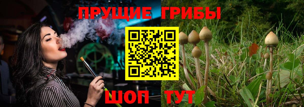 Галлюциногенные грибы Psilocybe  Псилоцибиновые грибы мицелий  хочу наркоту  Дзержинск  Вход с VPN 