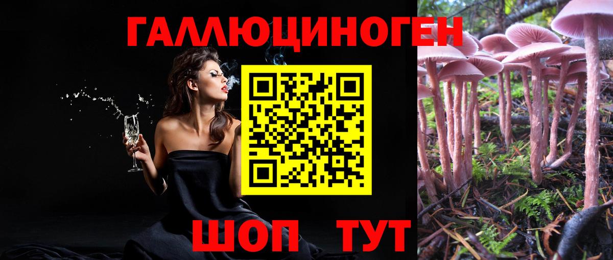 Псилоцибиновые грибы ЛСД Дзержинск